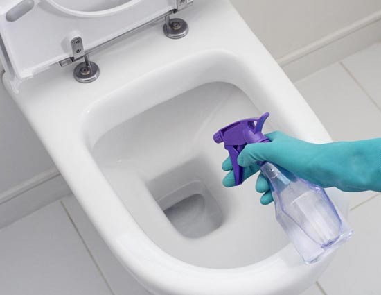 5 Home Made Toilet Cleansers