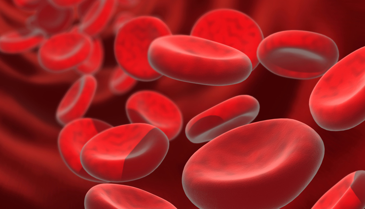 honey,health benefits of honey,Health tips,fitness tips