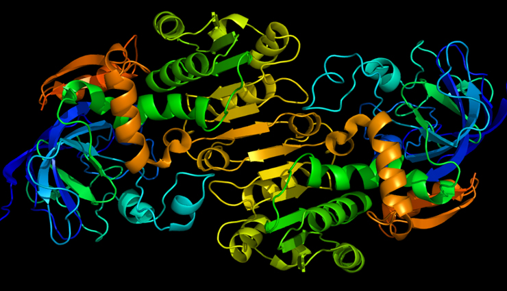 honey,health benefits of honey,Health tips,fitness tips