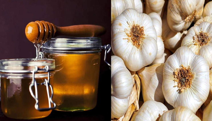 किस तरह करें लहसुन और शहद का सेवन, पौरुष शक्ति के साथ कई अन्य फायदे भी 