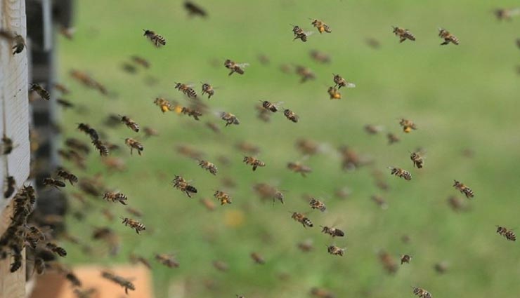 weird news,interesting facts,amazing facts