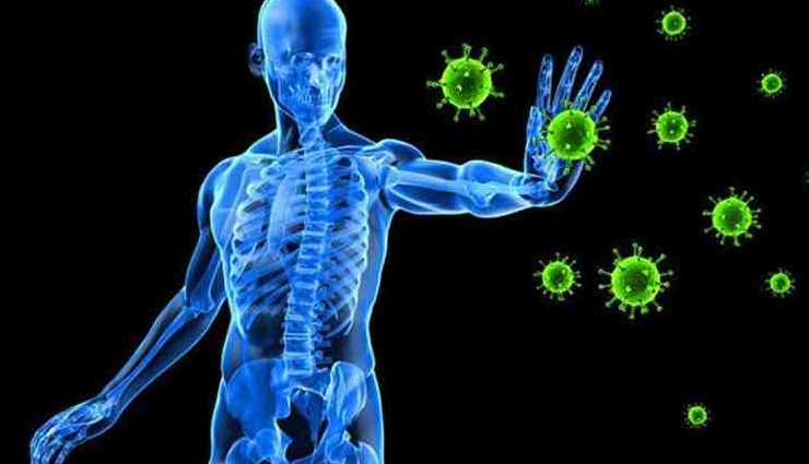 honey cinnamon health benefits,honey and cinnamon elixir,magical effects of honey and cinnamon,health benefits of honey and cinnamon blend,honey cinnamon immunity boost,weight loss with honey and cinnamon,heart health benefits of honey cinnamon,skin vitality with honey cinnamon,honey cinnamon medicinal properties,honey and cinnamon wellness elixir