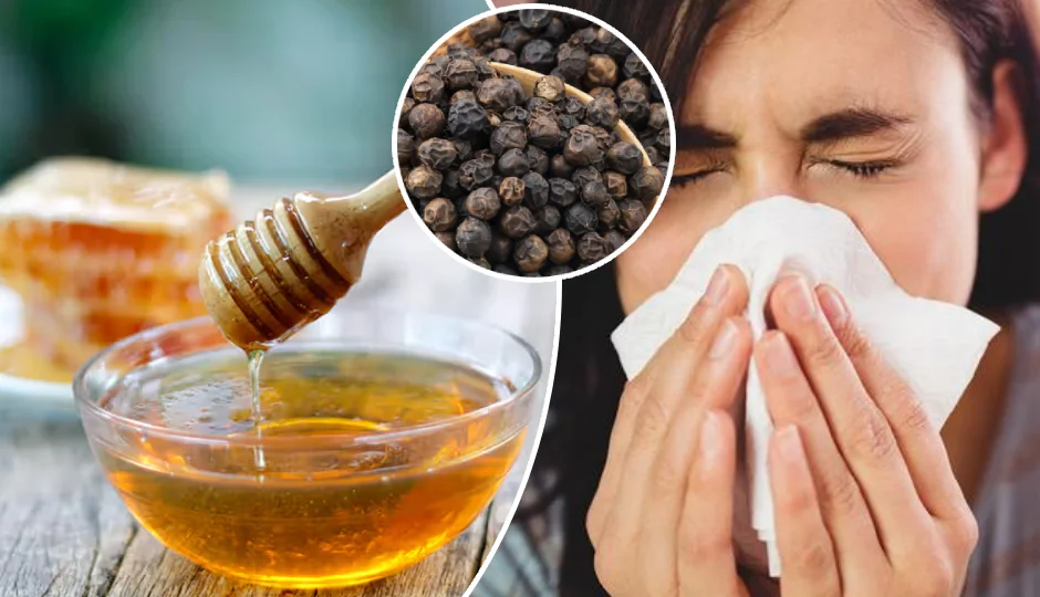 शहद में मिलाएं जरा-सी काली मिर्च, ऐसे करें रोज सेवन, मौसम बदलते ही नहीं होगा जुकाम