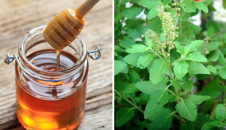 dengue,home remedies to rescue from dengue,dengue treatment at home,Health,Health tips,dengue ke upay