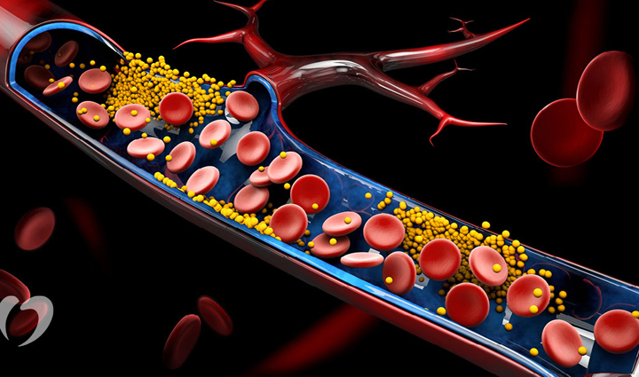 honey has been told in ayurveda as a treasure of health know its benefits,Health,healthy living