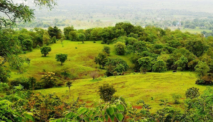 honeymoon destinations,honeymoon destinations in south india,south india,places to visit in south india,coorg,karnataka,munnar,kerala,ooty,tamil nadu,kanyakumari,ananthagiri hills,telangana