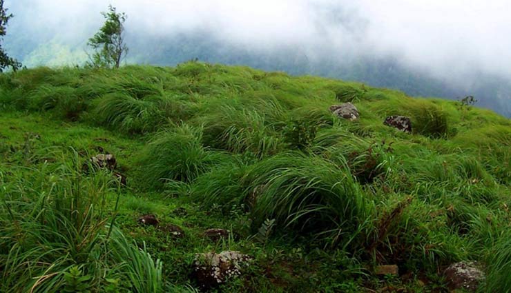 Part II- Best Honeymoon Hilly Destinations in South India