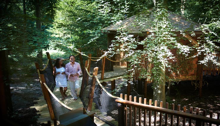 honeymoon in the forest,honeymoon trend