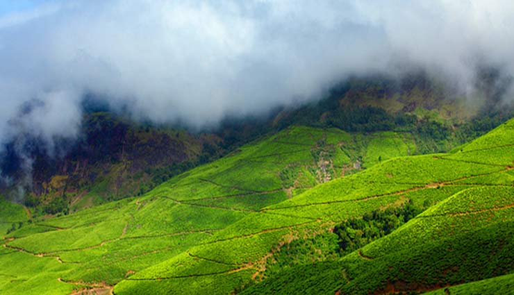 Part I- 5 Hill Stations in South India for Honeymoon Vacation