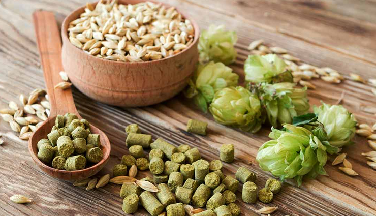 7 Least Known Health Benefits of Hops