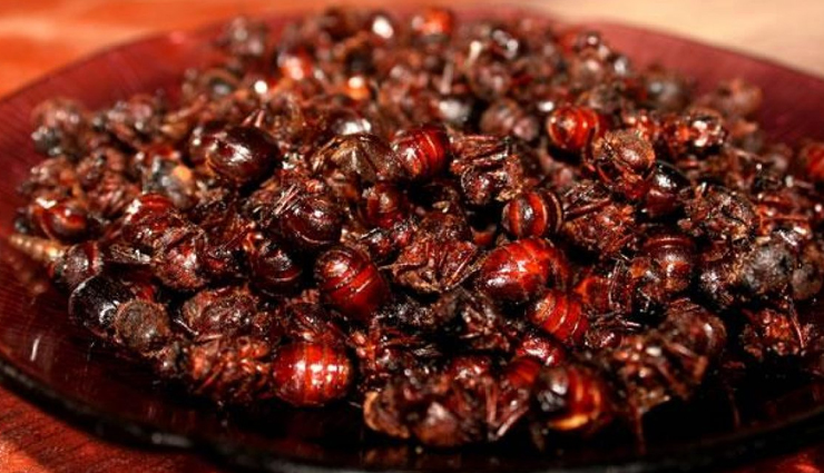 weird foods,werid food people eat,travel,travel tips