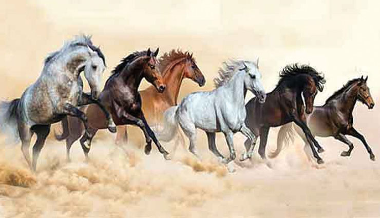 laxmi ji,maa laxmi,astrology tips,astrology,things to be kept in home