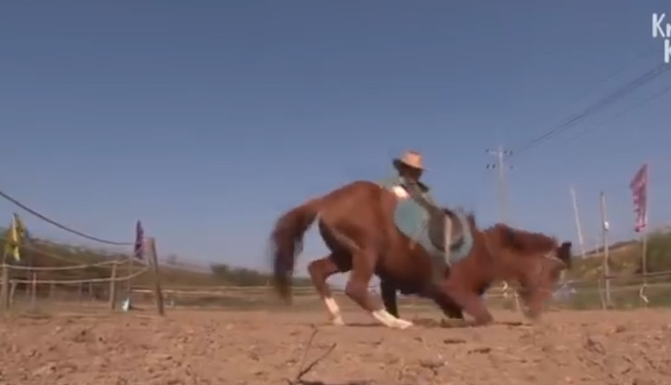 बड़ा आलसी है यह घोड़ा, सवारी करने जाओ तो करने लगता है मरने की एक्टिंग, देखे वीडियो