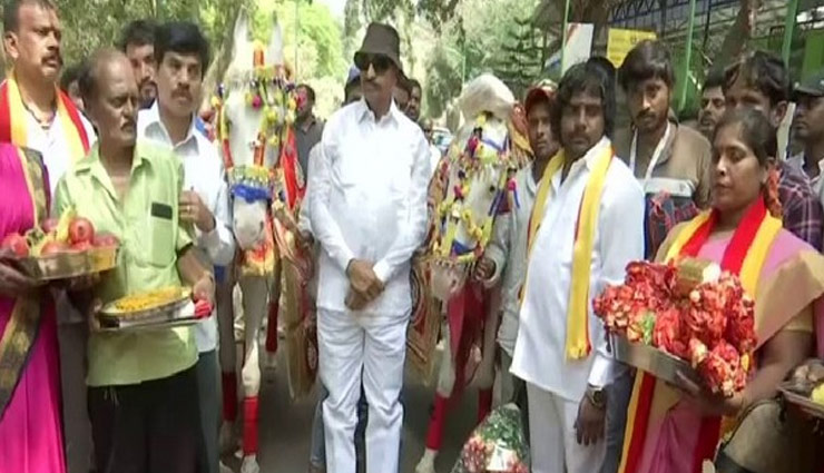 वैलेंटाइन डे पर घोड़ा-घोड़ी ने रचाई शादी, लोग बोले - 'हैप्पी मैरिड लाइफ' 