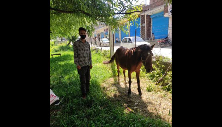मालिक के साथ घोड़े को भी किया क्वारंटाइन, जाने क्या है वजह