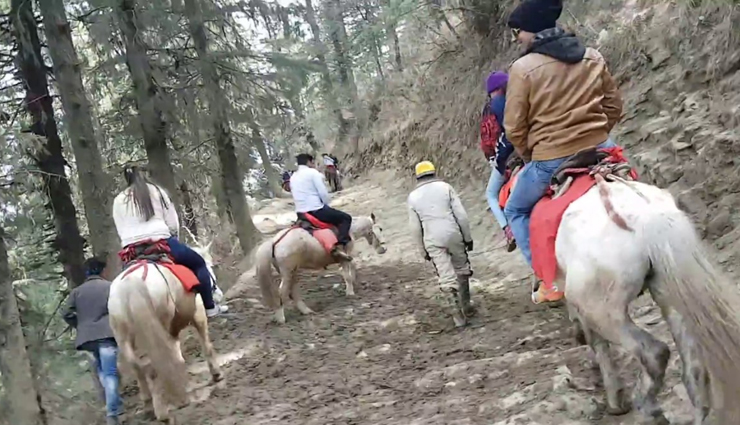 chakrata travel highlights,chakrata tourist attractions,reasons to visit chakrata,chakrata hill station,chakrata adventure experiences,chakrata natural beauty,chakrata offbeat destinations,chakrata trekking spots,chakrata weekend getaway,chakrata travel recommendations