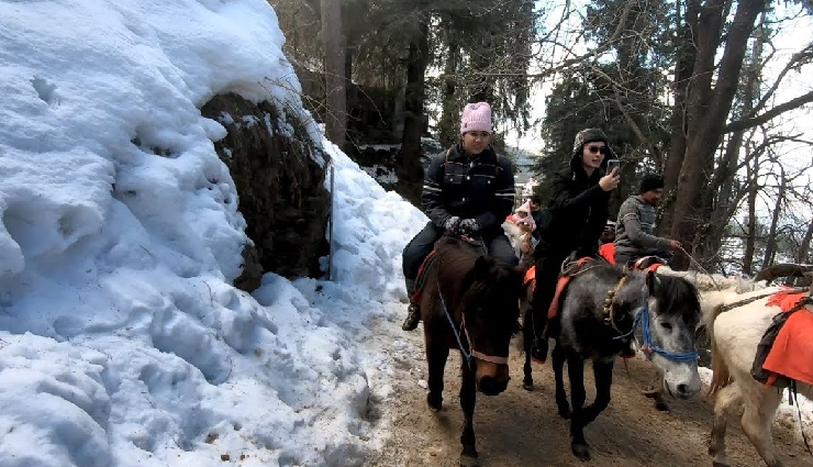 kufri attractions,kufri adventure activities,himalayan nature park,hiking in kufri,tobogganing in kufri,ziplining in kufri,shopping in kufri,horse riding in kufri,skiing in kufri,yak rides in kufri,kufri fun world,himachal pradesh tourism,snow sports in kufri,mahasu peak trek,green valley adventures