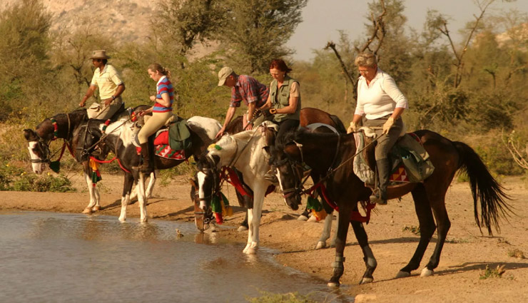 ranakpur tourist attractions,top things to do in ranakpur,ranakpur jain temple visit,jungle safari in ranakpur,trekking routes in ranakpur,best time to visit ranakpur,ranakpur wildlife safari,ranakpur dam sunset views,horse riding tours in ranakpur,ranakpur must-visit places,ranakpur local shopping guide,historical temples in ranakpur,jeep safari in ranakpur forest,ranakpur wolf spotting tours,muchal mahavir temple ranakpur