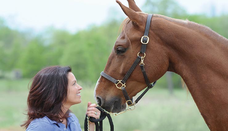 यहां कोरोना से बचने के लिए ली जा रही घोड़े को दी जाने वाली दवा, जानें इसके पीछे का कारण