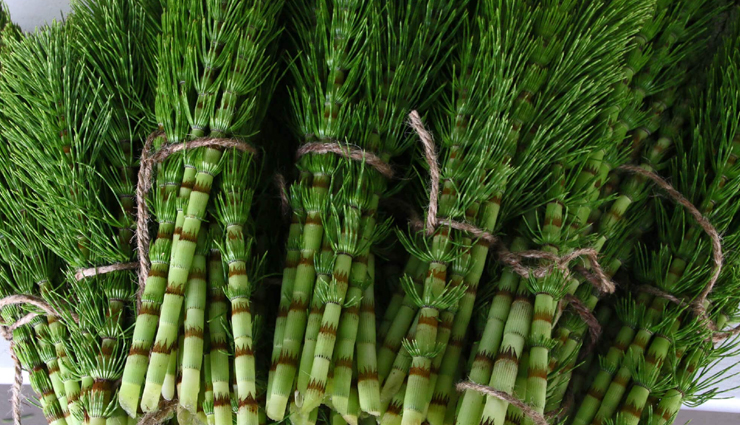 nail growth,home remedies nail growth,amazing home remedies for nail growth,nail growth tips,nail growth at home,nail growth quick tips,nail growth beauty tips,nail growth beauty,nail,nail care tips