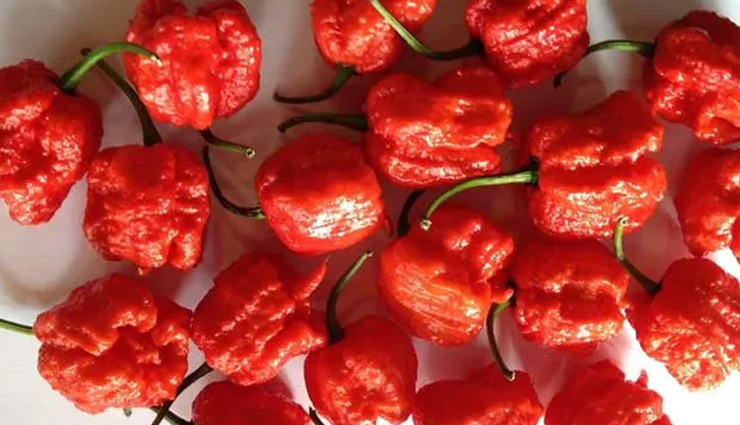 5 Hottest Peppers in the World
