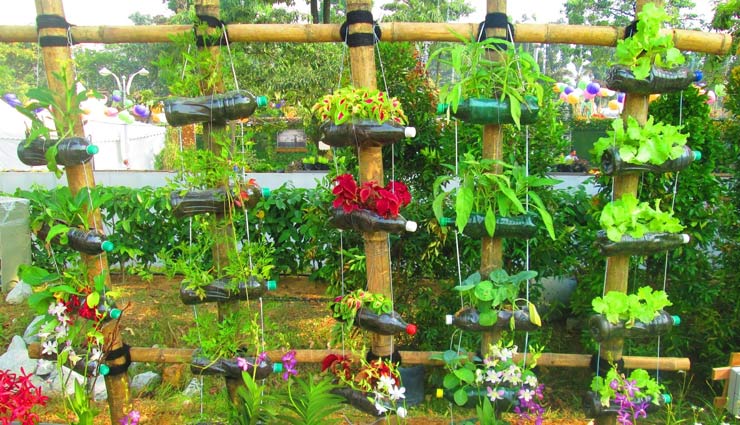 ऐसे होगा आपका घर गार्डन-गार्डन, पानी की बोतल में उगाए पौधे