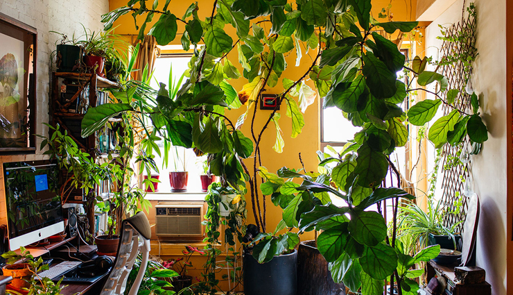 tips to decorate your garden in summer,household tips