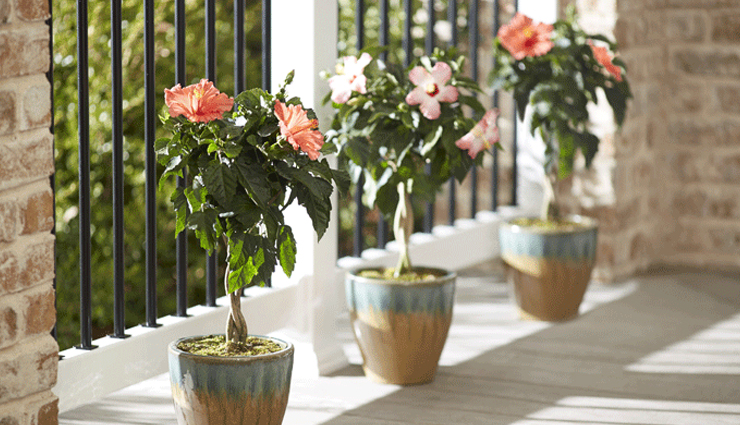 tips to keep flowers fresh for a long time,fresh flowers,fresh flowers for long time,household tips,home decor