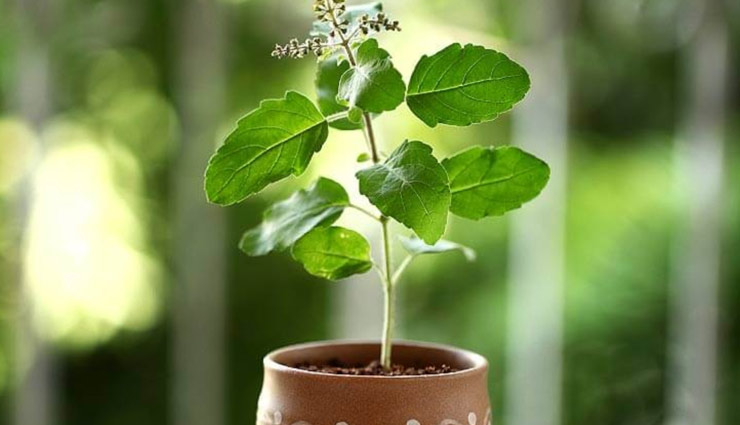 gifts,gifts ideas,gifts for house warming