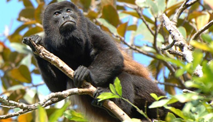 manta,manta travel,tourist places,tourism,holidays