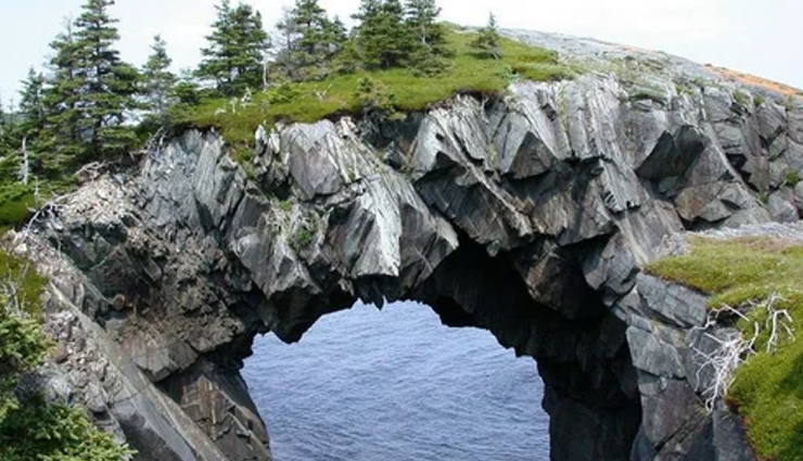 प्राकृतिक सौंदर्य का खजाना है अंडमान का नील द्वीप, आकर्षित करते हैं रेतीले समुद्र तट neil island travel guide,best things to do on neil island,hidden gems of neil island,andaman secret paradiseneil island,uncovering neil island beauty,neil island attractions and activities,neil island for offbeat travelers,neil island beaches and snorkeling spots,insider guide to neil island,neil island natural wonders and cultural experiences