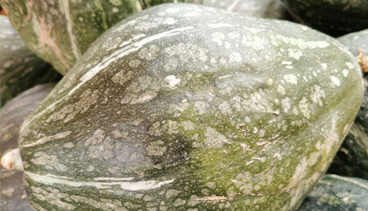 9 vegetables that are high in protein and should be in your diet,Health,healthy living