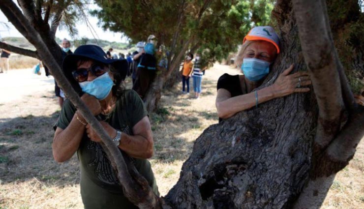 weird news,weird idea,israel,coronavirus,hug a tree