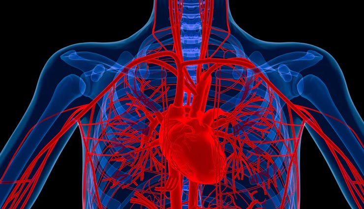 मनुष्य के होते है औसतन 100000 बाल, जानें मानव से जुड़े ऐसे ही अन्य रोचक तथ्य interesting facts,amazing facts,facts about humans,human body structure,facts of human