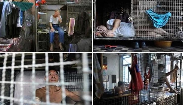 weird news,weird information,hongkong,people in metal cage