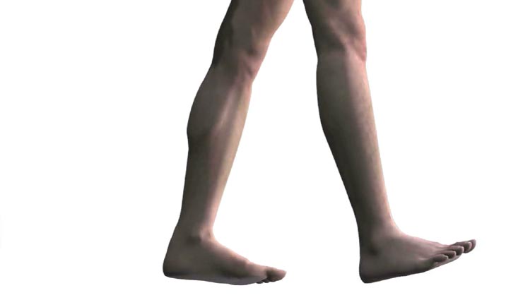 astrology tips,astrology tips in hindi,samudra shastra,information about human from legs