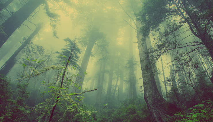 summer asthma triggers,asthma-inducing factors in summers,summer asthma exacerbation,heat-related asthma triggers,allergens and asthma in summer,environmental factors and asthma in summers,managing asthma in hot weather,preventing summer asthma attacks,summer asthma prevention strategies,summer asthma control tips