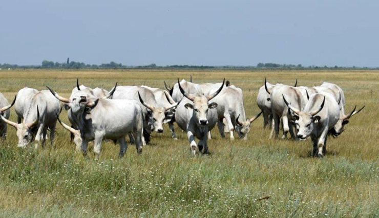 hungary,tourist attraction in hungary,places to visit in hungary