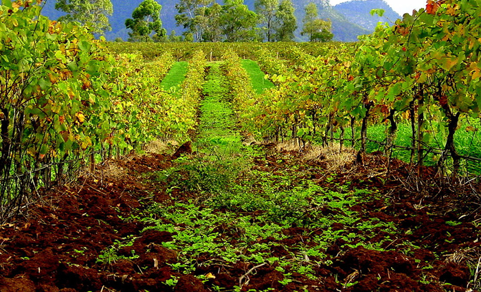 honeymoon,honeymoon destinations in australia,australia,dreamiest escapes for newlyweds,travel,travel tips,holidays