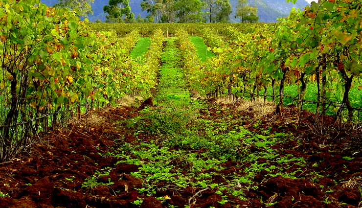 chocolate lover,travel,holidays,chocolate lover must visit these countries,travel tips,tourism