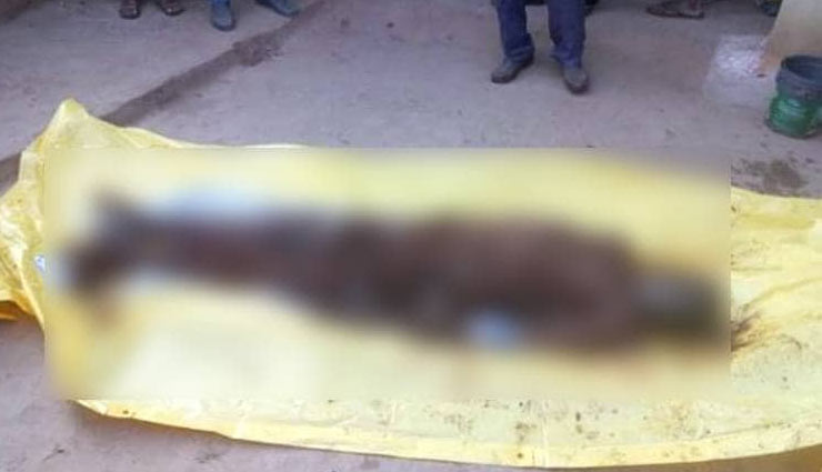 news,crime news in hindi,murder,kitchen slab,house,anuppur,madhya pradesh