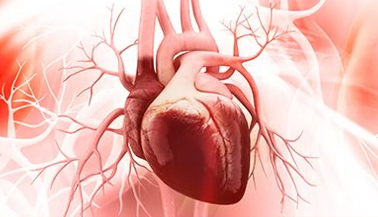 heart diseases,different type of heart diseases,heart care tips,heart care,heart condition,illness of heart,Health,Health tips