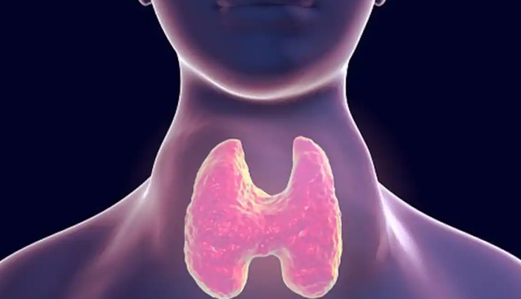 World Thyroid Day: हाइपोथायराइड मरीजों को नहीं खाने चाहिए ये 9 आहार, बढ़ सकती है परेशानी