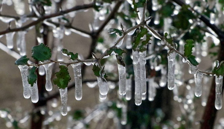 राजस्थान में फेल हुई मौसम विभाग की भविष्यवाणी, 4 दिन बाद फिर पड़ सकती हैं रिकॉर्ड तोड़ सर्दी