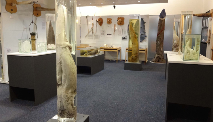 weird museums,weird museums around the world,weird museums to visit,museums,travel,holidays,travel guide,travel tips