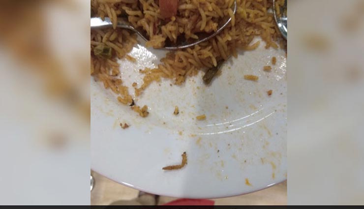 हैदराबाद : वेज बिरयानी में मिला कीड़ा, पिछले महीने ही स्वीडिश कंपनी ने देश में खोला था पहला आईकिया (IKEA) स्टोर