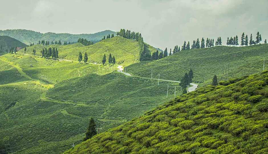 10 Beautiful Places To Visit in Ilam, Nepal
