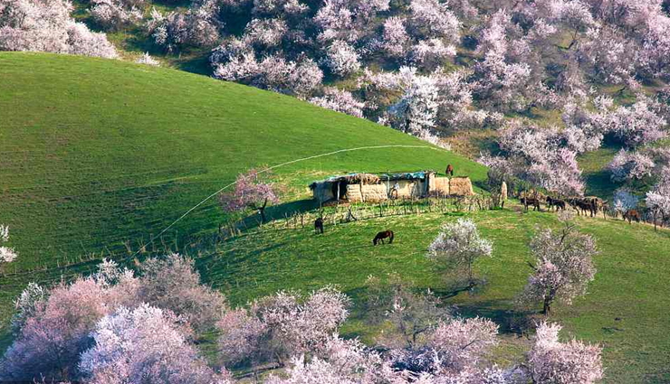 china,china travel,places to visit in china,china tourism,tourist places in china,china travel,holidays,travel guide,travel tips