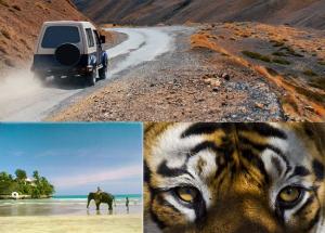8 Overwhelming Safari Holidays in India