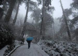 5 Dazzling Snowfall Experience in India